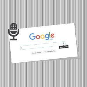 voice search